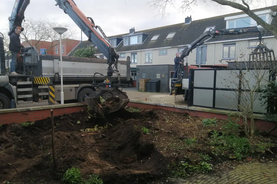Bomen Verwijderen in Zoetermeer